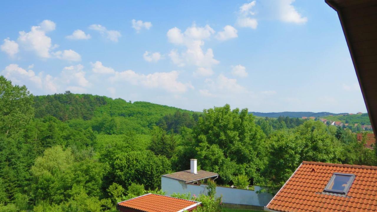 Отель Hoforras Wellness Vendeghaz Эгерсалок Экстерьер фото